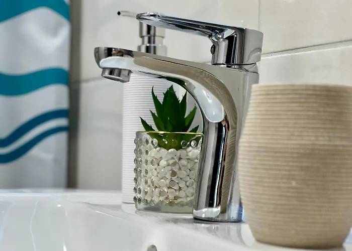 попов * Варна