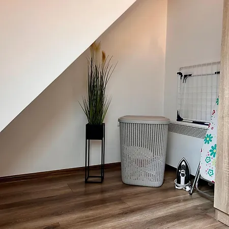 попов 아파트